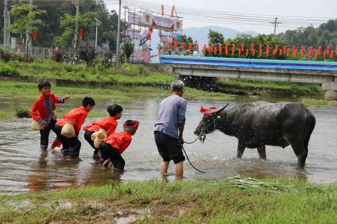 IM电竞：原来你是这样的清远！(图4)