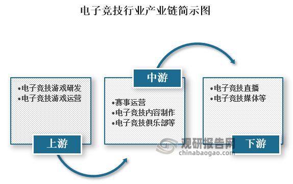 中国电子竞技行业现状深度研究与未来投资分析报告（2024-2031）