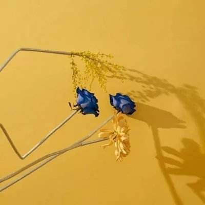 欢迎来到管家婆三期必出特马(图1)