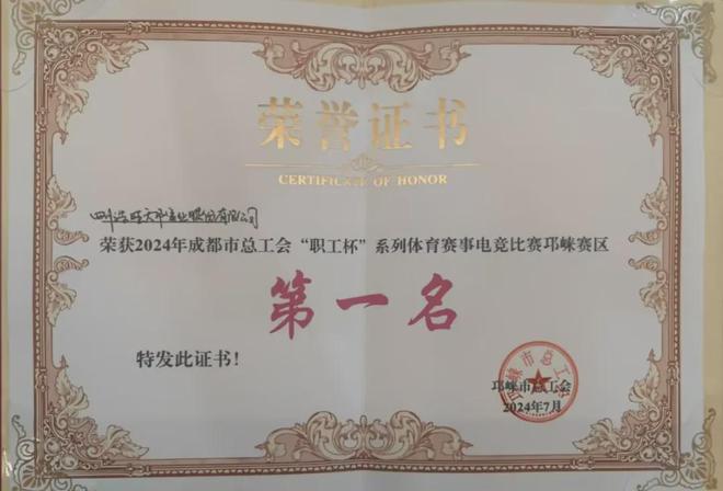 2024四川省电子竞技企业联赛巡礼之四川浩旺集团