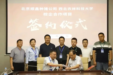 顺鑫农业小店“张茂工作室”荣获“2024年度顺义区级职工创新工作室”称号(图3)