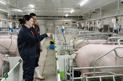 顺鑫农业小店“张茂工作室”荣获“2024年度顺义区级职工创新工作室”称号(图4)