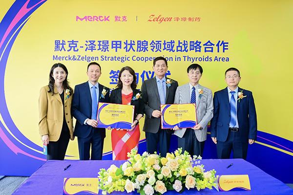 德国默克集团与泽璟制药达成战略合作推进重组人促甲状腺激素的商业化在华落地