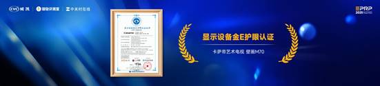 第二届健康显示大会在京隆重召开：以标准领航共筑健康显示新生态(图12)