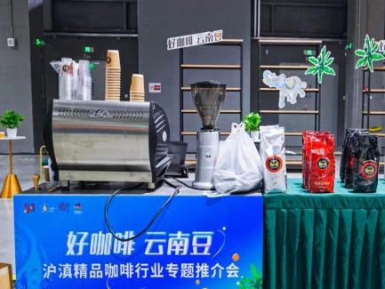 虹桥国际咖啡节来啦！咖啡+文旅+音乐+体育+爱情+摄影……(图6)