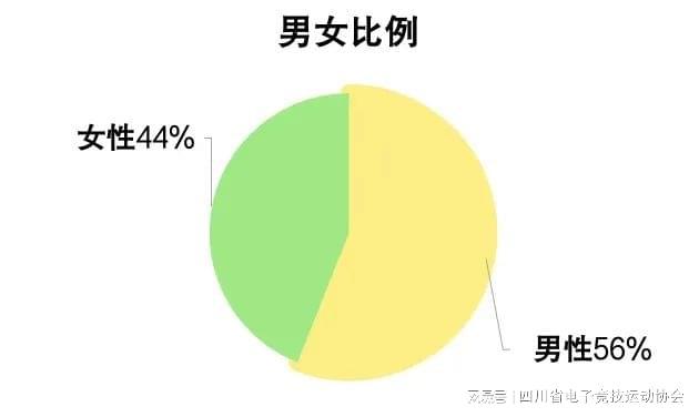 IM电竞：2024四川省电子竞技产业报告(图7)