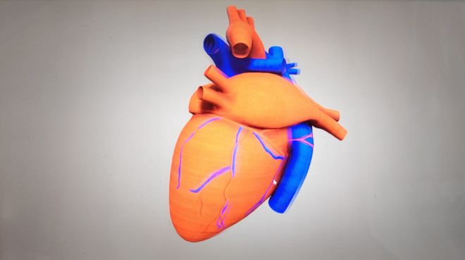 IM电竞：未来人类将亮相2025中国体育文化博览会(图7)