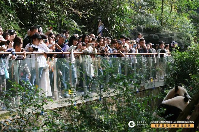 跨界融合：2024东亚电竞文旅发展大会在青城山下举行(图11)
