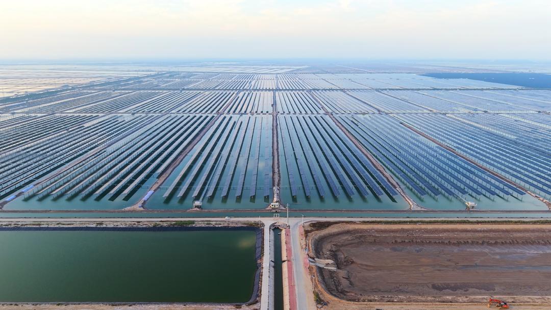 IM电竞：绿电竞“速”：山东新能源行业正