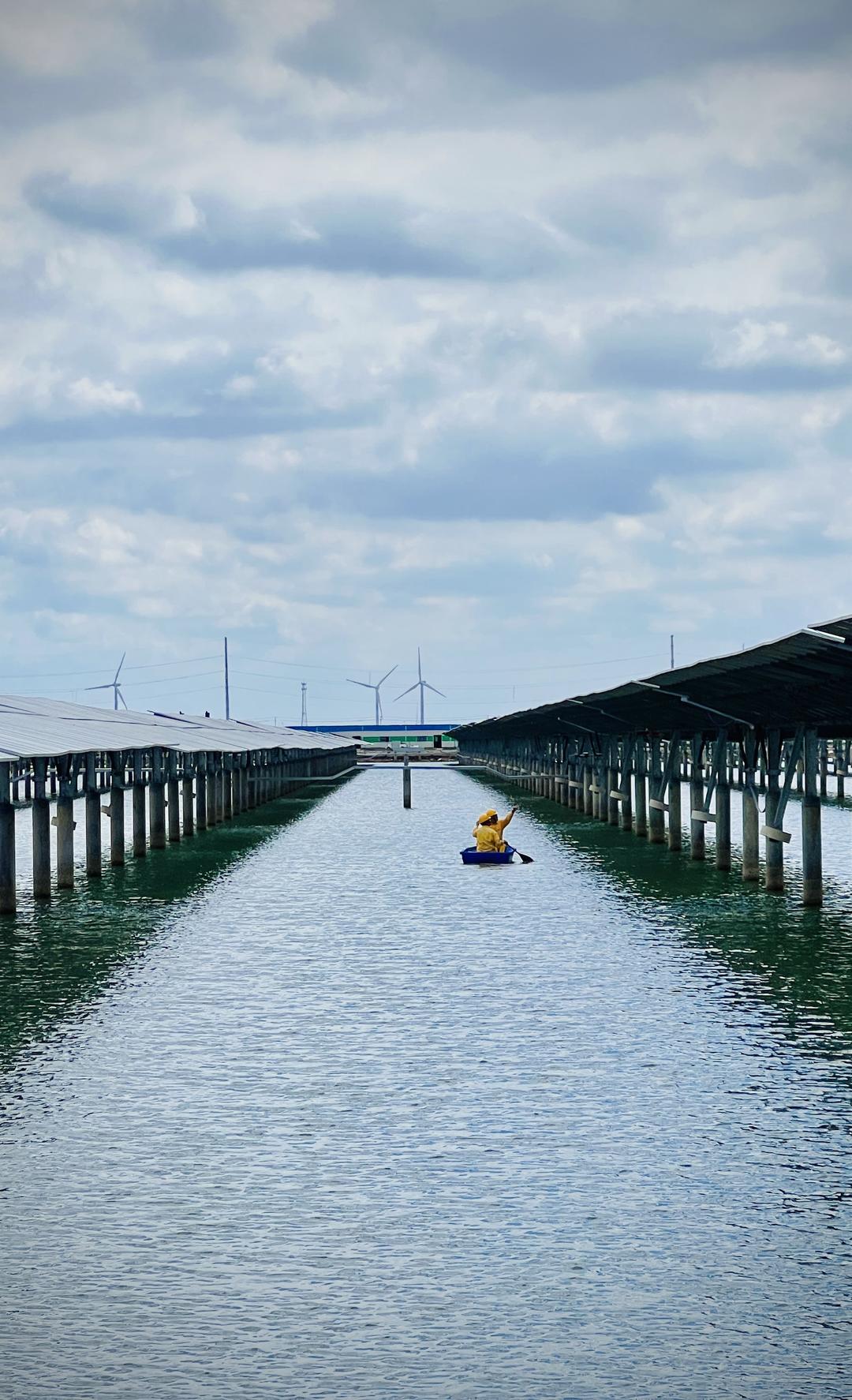 蹲点调查｜绿电竞“速”(图9)