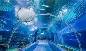 2024年中国电竞酒店行业的产业链涵供需布局及发展前景(图3)