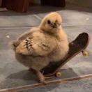 当电竞成为营销富矿去哪寻找“开采工具”？(图2)