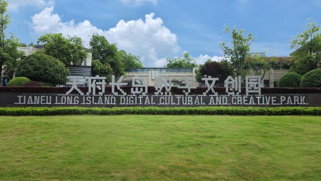 IM电竞：成都高新区电竞战队勇夺CFS全球总决赛冠军(图3)